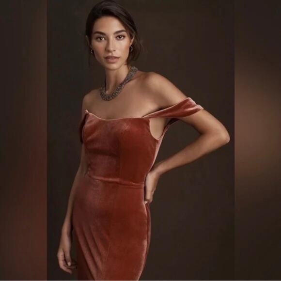 Jenny Yoo Issa Brown Velvet Off The Shoulder Bridesmaid Gown Dress Size 4 - Picture 3 of 10